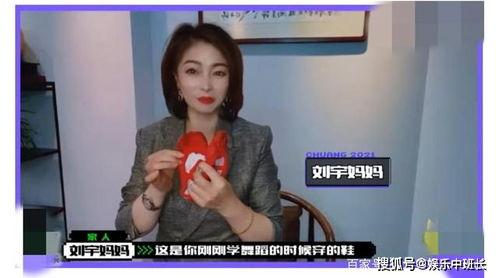 宋宁爆料妈妈视频大全最新,揭秘明星家庭温馨瞬间  第2张